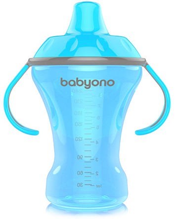     BabyOno - 260 ml,      Natural Nursing, 6+  - 